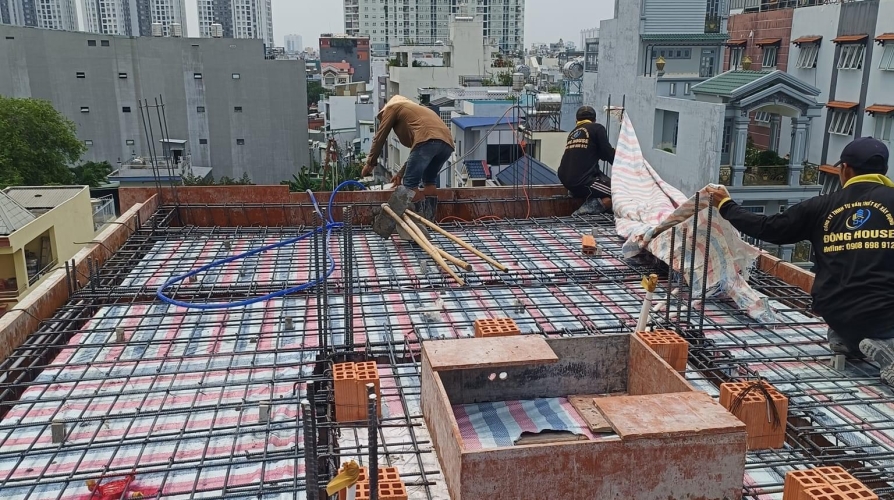Cắt nóc Lý Thái Tông Tân Phú 4